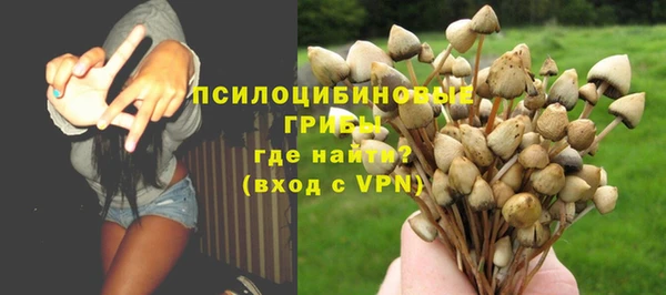 гашиш Осинники
