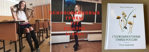 мескалин Нязепетровск
