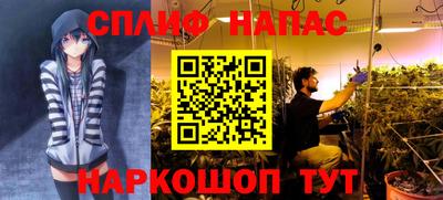 гидра Бузулук