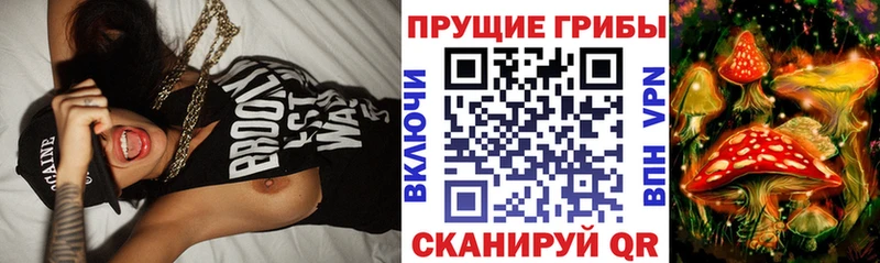 дарк нет наркотические препараты  Казань  Псилоцибиновые грибы мицелий 