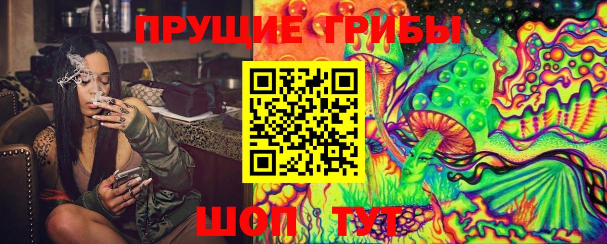 Псилоцибиновые грибы мицелий Казань