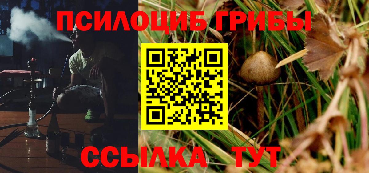 Казань  Галлюциногенные грибы Cubensis  как найти   Вход с VPN 