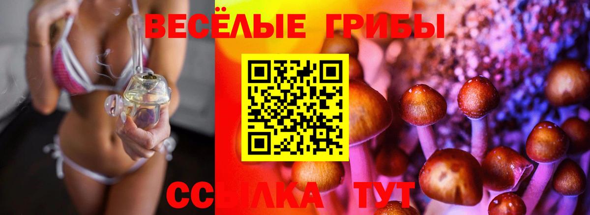 Псилоцибиновые грибы Magic Shrooms  Галлюциногенные грибы мицелий  Казань 